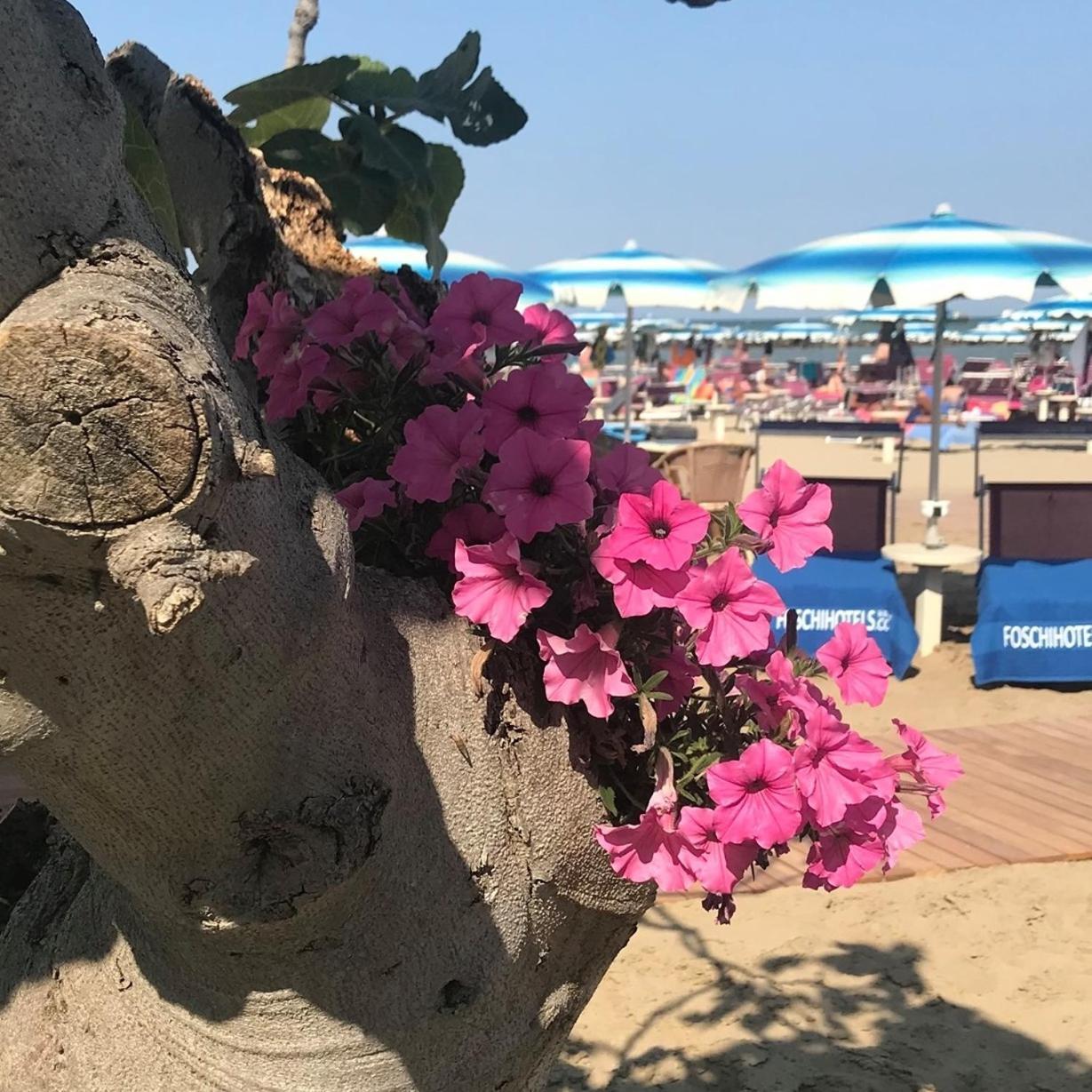 Hotel Piccadilly Bellaria-Igea Marina Buitenkant foto
